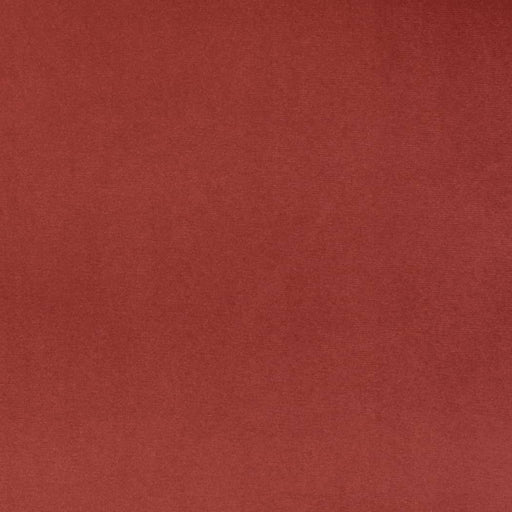 Charlotte - D4505 - Cranberry - Fabric by the Yard Cranberry