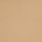 Charlotte - D4511 - Pearl - Fabric by the Yard Pearl
