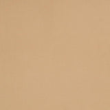 Charlotte - D4511 - Pearl - Fabric by the Yard