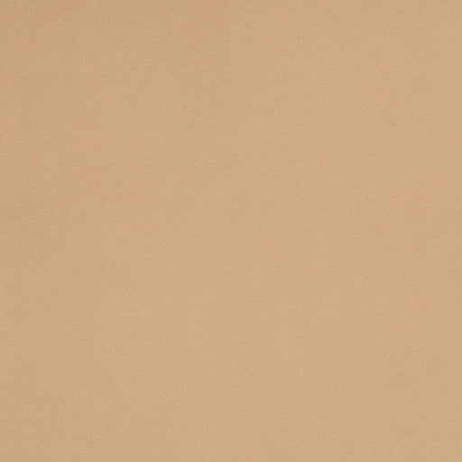 Charlotte - D4511 - Pearl - Fabric by the Yard Pearl