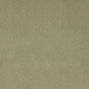 Charlotte - D4514 - Sage - Fabric by the Yard Sage