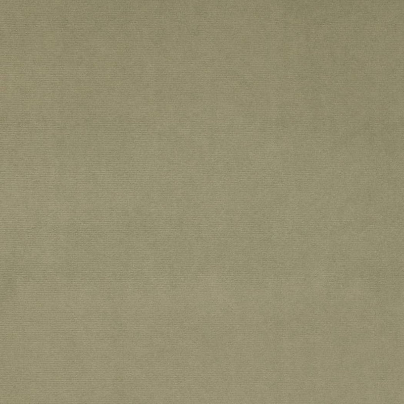 Charlotte - D4514 - Sage - Fabric by the Yard Sage