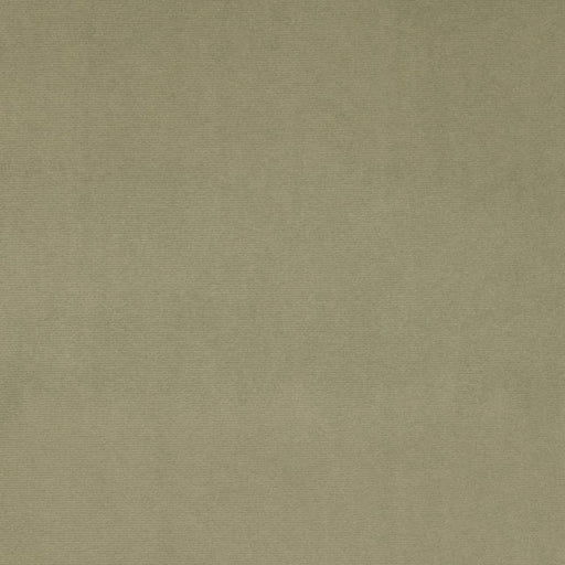 Charlotte - D4514 - Sage - Fabric by the Yard Sage