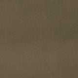 Charlotte - D4515 - Eucalyptus - Fabric by the Yard