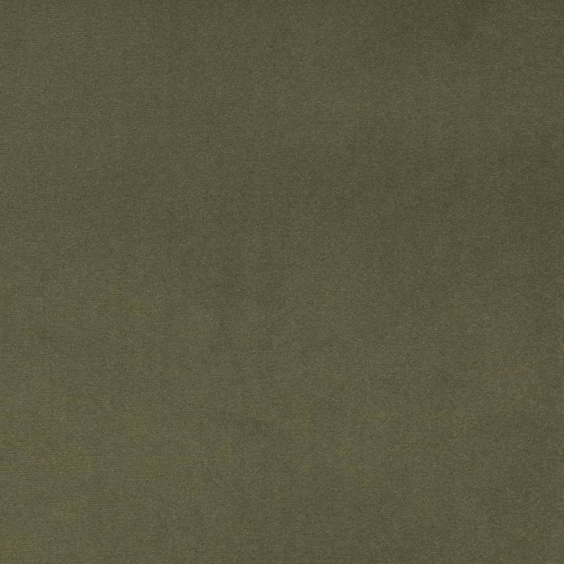 Charlotte - D4516 - Dill - Fabric by the Yard Dill