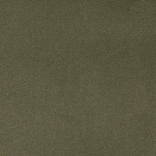Charlotte - D4516 - Dill - Fabric by the Yard Dill