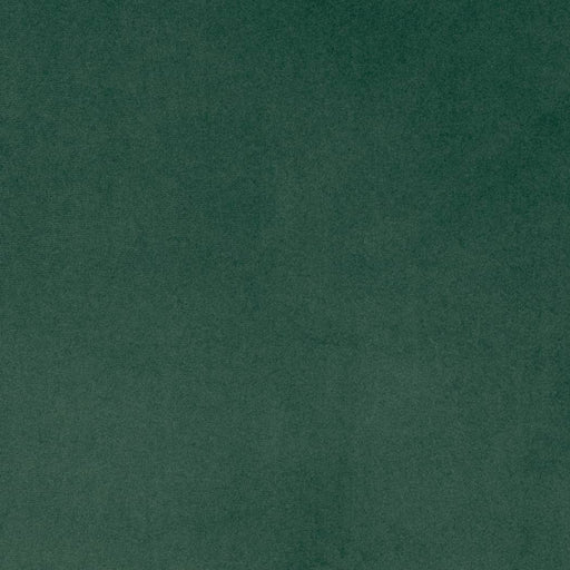 Charlotte - D4517 - Pine - Fabric by the Yard Pine