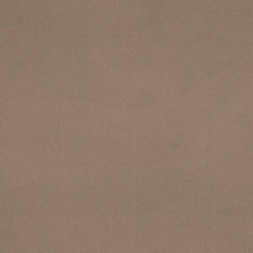 Charlotte - D4522 - Pewter - Fabric by the Yard Pewter