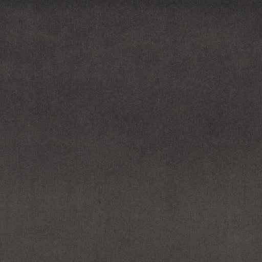 Charlotte - D4523 - Charcoal - Fabric by the Yard Charcoal