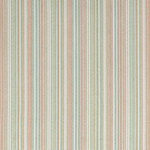 Charlotte - D4533 - Canopy Grass - Fabric by the Yard Canopy Grass