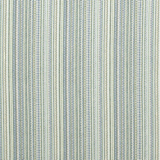 Charlotte - D4534 - Canopy Pool - Fabric by the Yard Canopy Pool