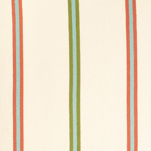 Charlotte - D4538 - Awning Grass - Fabric by the Yard Awning Grass