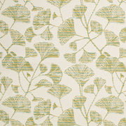 Charlotte - D4553 - Ginkgo Grass - Fabric by the Yard Ginkgo Grass