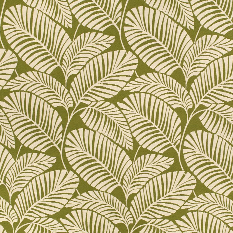 Charlotte - D4558 - Palm Grass - Fabric by the Yard Palm Grass