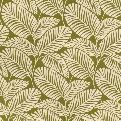 Charlotte - D4558 - Palm Grass - Fabric by the Yard Palm Grass