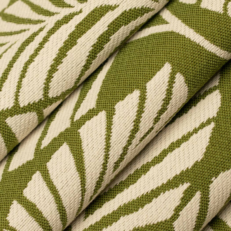 Charlotte - D4558 - Palm Grass - Fabric by the Yard - D4558 - D4558_Rolled