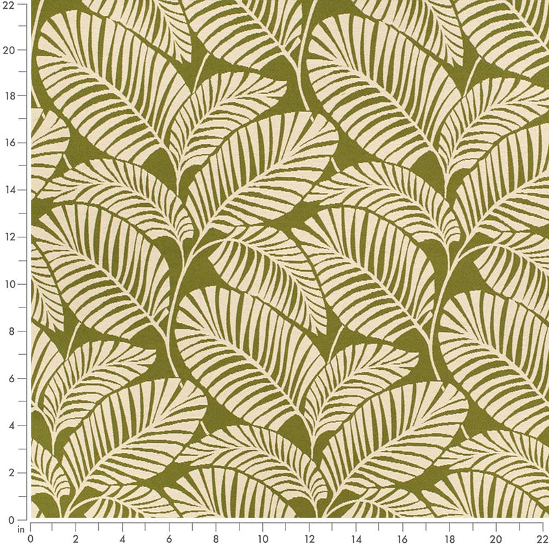 Charlotte - D4558 - Palm Grass - Fabric by the Yard - D4558 - D4558_Ruler