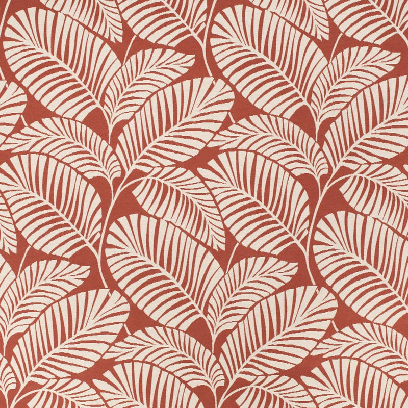 Charlotte - D4560 - Palm Poppy - Fabric by the Yard Palm Poppy