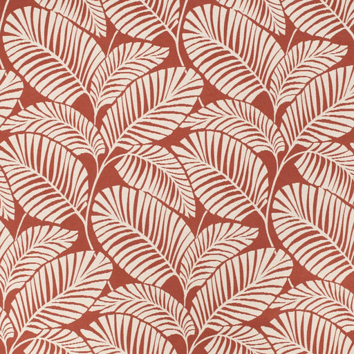 Charlotte - D4560 - Palm Poppy - Fabric by the Yard Palm Poppy