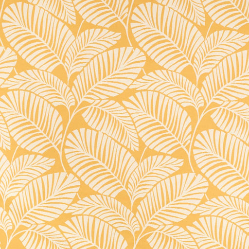 Charlotte - D4562 - Palm Sun - Fabric by the Yard Palm Sun