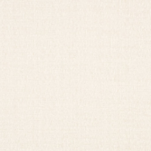 Charlotte - D4574 - Pearl - Fabric by the Yard Pearl