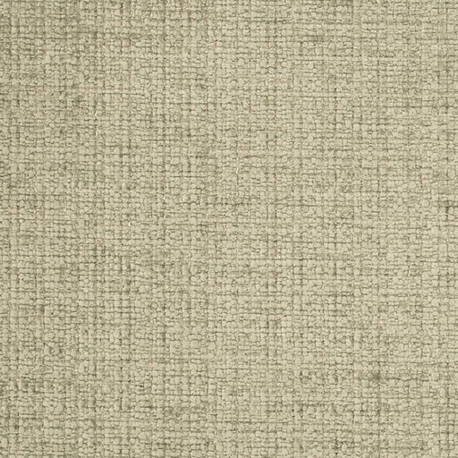 Charlotte - D4575 - Silversage - Fabric by the Yard Silversage