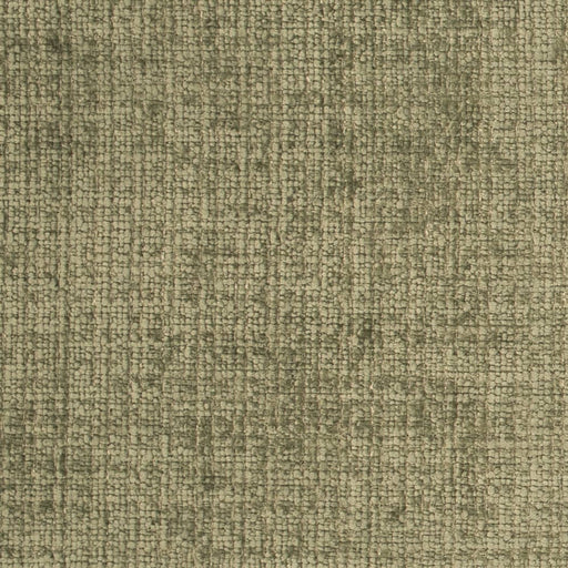 Charlotte - D4578 - Lichen - Fabric by the Yard Lichen