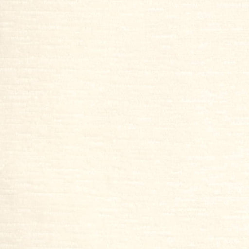 Charlotte - D4592 - Snow - Fabric by the Yard Snow