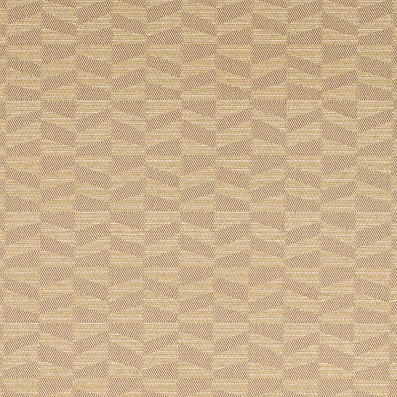 Charlotte - D4600 - Beige - Fabric by the Yard Beige