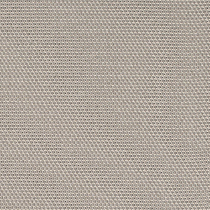Charlotte - D4624 - Platinum - Fabric by the Yard Platinum