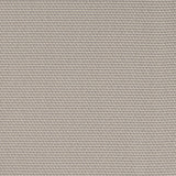 Charlotte - D4624 - Platinum - Fabric by the Yard