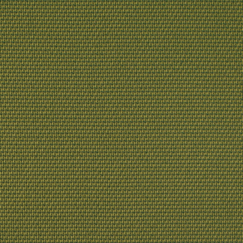Charlotte - D4629 - Lime - Fabric by the Yard Lime