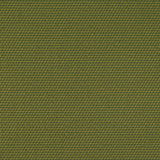 Charlotte - D4629 - Lime - Fabric by the Yard
