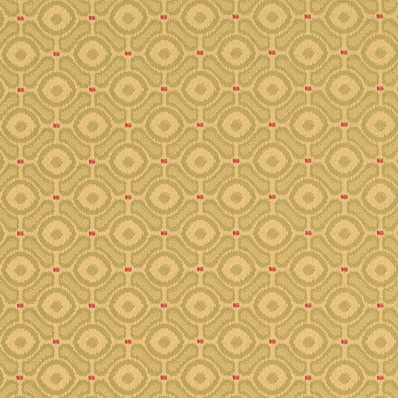 Charlotte - D4641 - Pistachio - Fabric by the Yard Pistachio