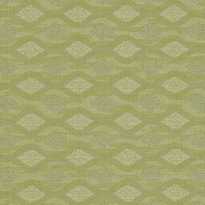 Charlotte - D4647 - Sage - Fabric by the Yard Sage