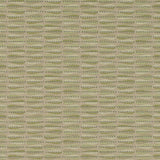 Charlotte - D4653 - Silver Sage - Fabric by the Yard