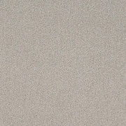Charlotte - D4658 - Sterling - Fabric by the Yard Sterling