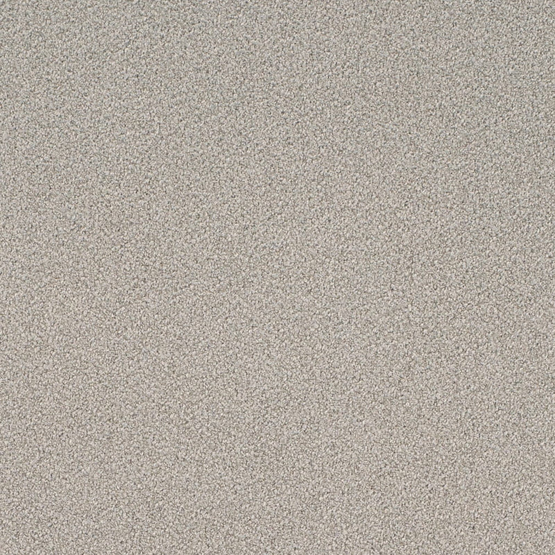 Charlotte - D4658 - Sterling - Fabric by the Yard Sterling