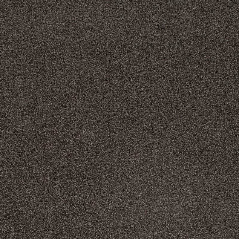 Charlotte - D4659 - Ash - Fabric by the Yard Ash