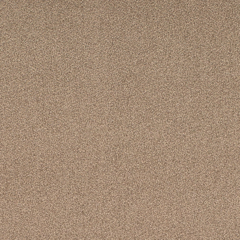 Charlotte - D4662 - Taupe - Fabric by the Yard Taupe