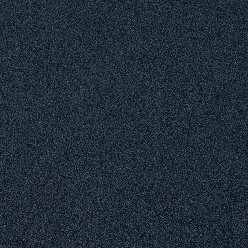 Charlotte - D4663 - Blueberry - Fabric by the Yard Blueberry