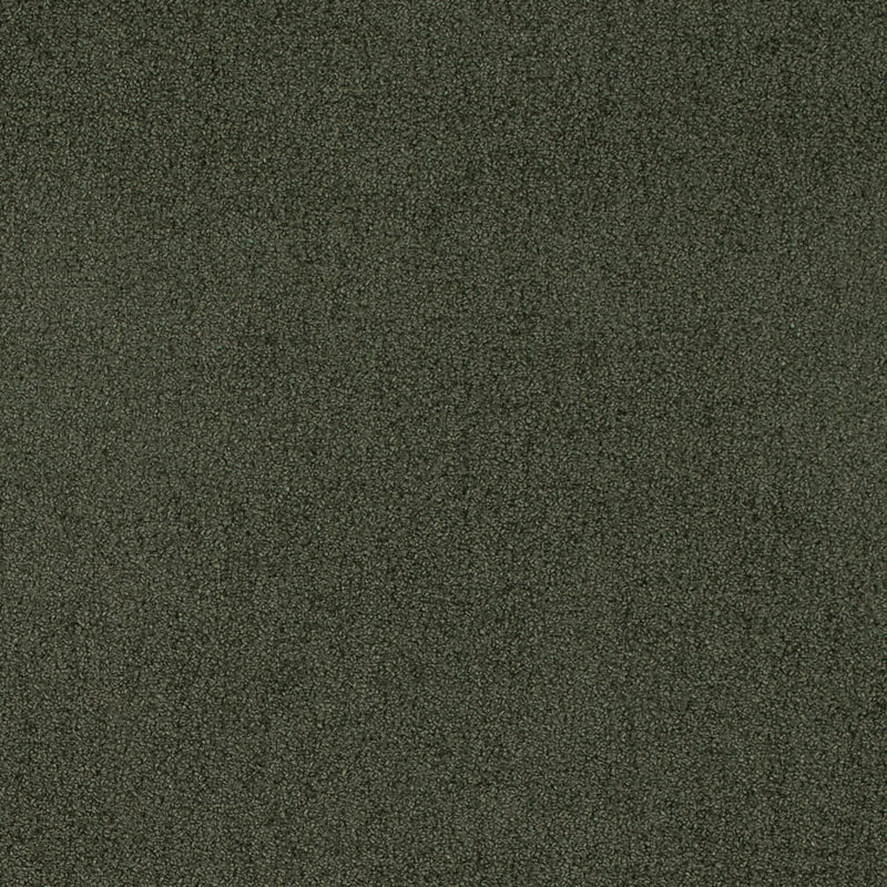 Charlotte - D4665 - Eucalyptus - Fabric by the Yard Eucalyptus