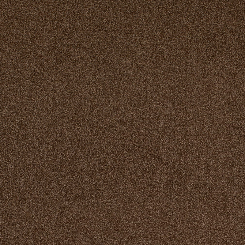 Charlotte - D4667 - Pecan - Fabric by the Yard Pecan