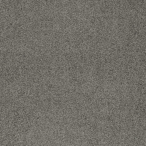 Charlotte - D4668 - Cement - Fabric by the Yard Cement