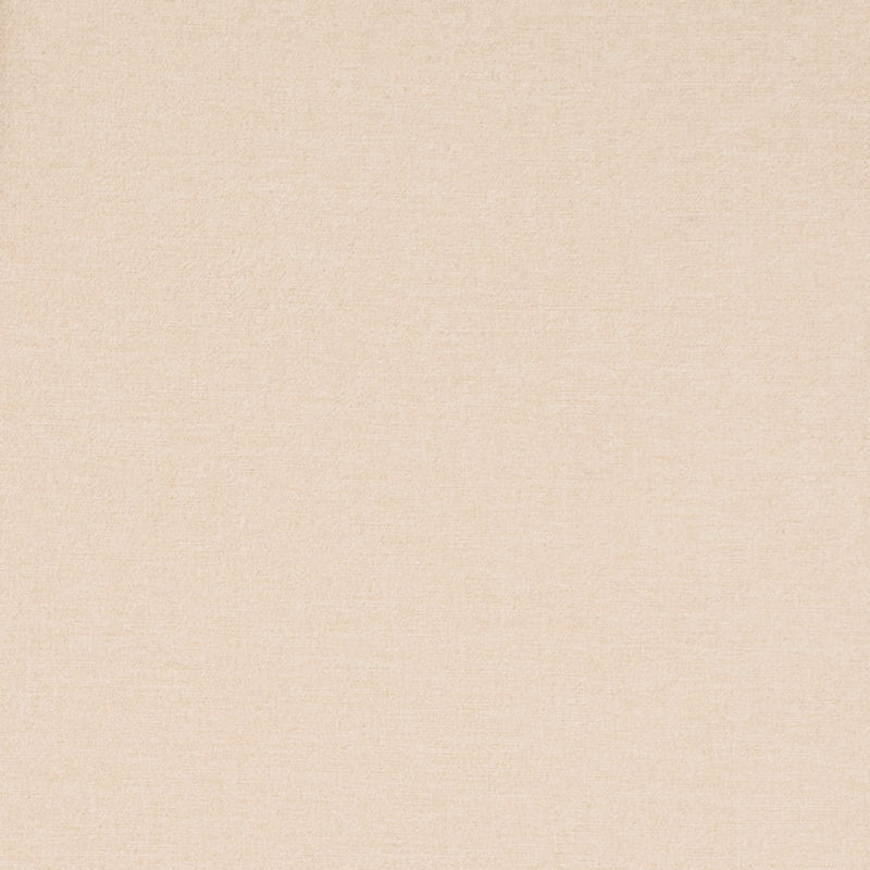 Charlotte - D4671 - Eggshell - Fabric by the Yard Eggshell