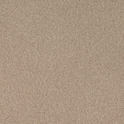 Charlotte - D4672 - Pebble - Fabric by the Yard Pebble