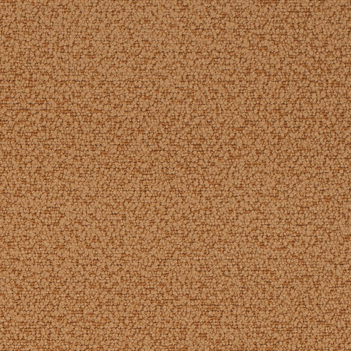 Charlotte - D4679 - Tawny - Fabric by the Yard Tawny