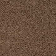 Charlotte - D4682 - Cappuccino - Fabric by the Yard Cappuccino