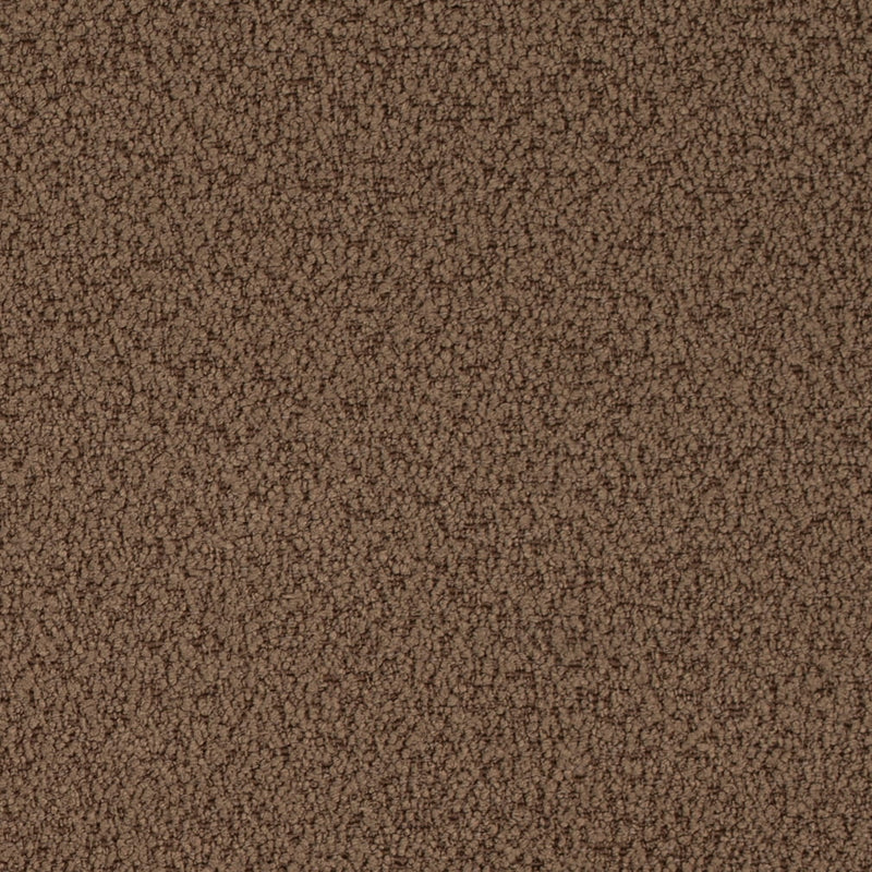 Charlotte - D4682 - Cappuccino - Fabric by the Yard Cappuccino