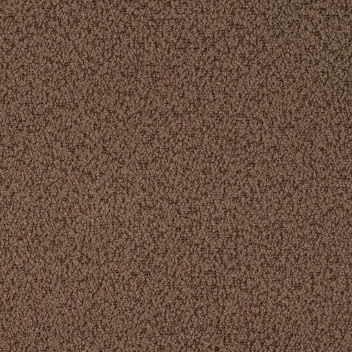 Charlotte - D4682 - Cappuccino - Fabric by the Yard Cappuccino